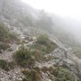 Escursione Cava de Tirreni Monte Avvocata
 3